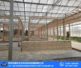 青州瀚洋农业 阳光玻璃温室的现代画卷与蔬菜产业新篇章