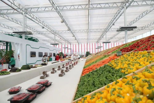 利津县乡村振兴特色农产品推介暨‘一品益津’品牌发布会隆重举行，蔬菜产业迎来品牌化发展新篇章