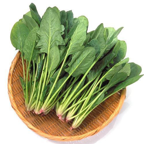 春季适合种植的蔬菜有哪些?记得收藏哦!