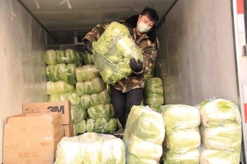 大商沈阳集团稳物价保民生，以低于进价供应蔬菜等生活必需品